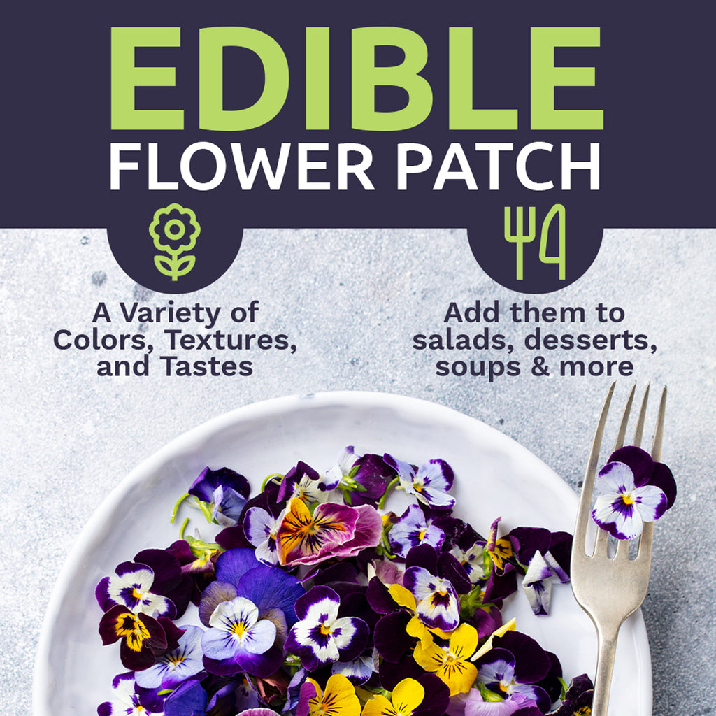 Gourmet Edible Flowers Wildflower Blend