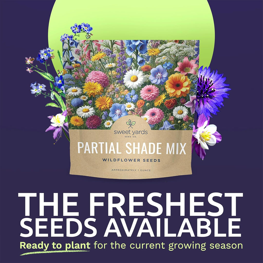 Wildflower Seeds Partial Shade Mix