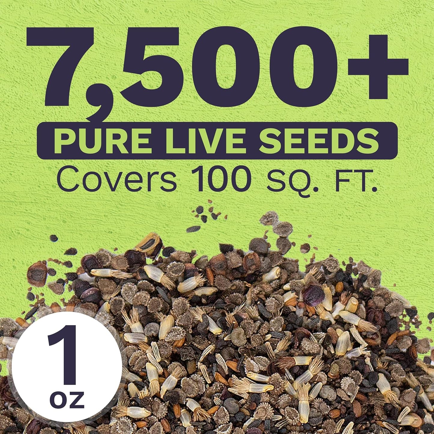 Wildflower Seeds Partial Shade Mix