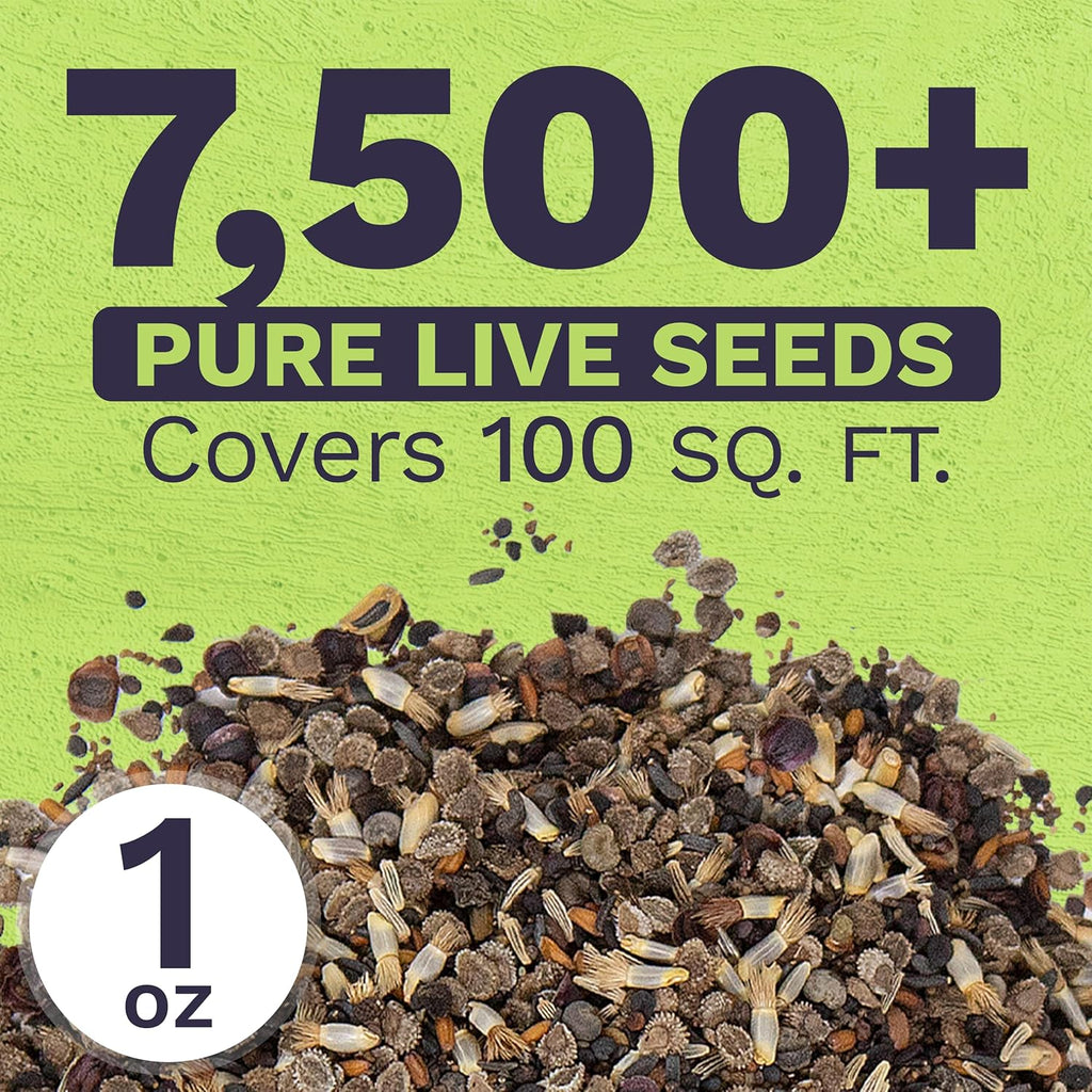 Wildflower Seeds Partial Shade Mix