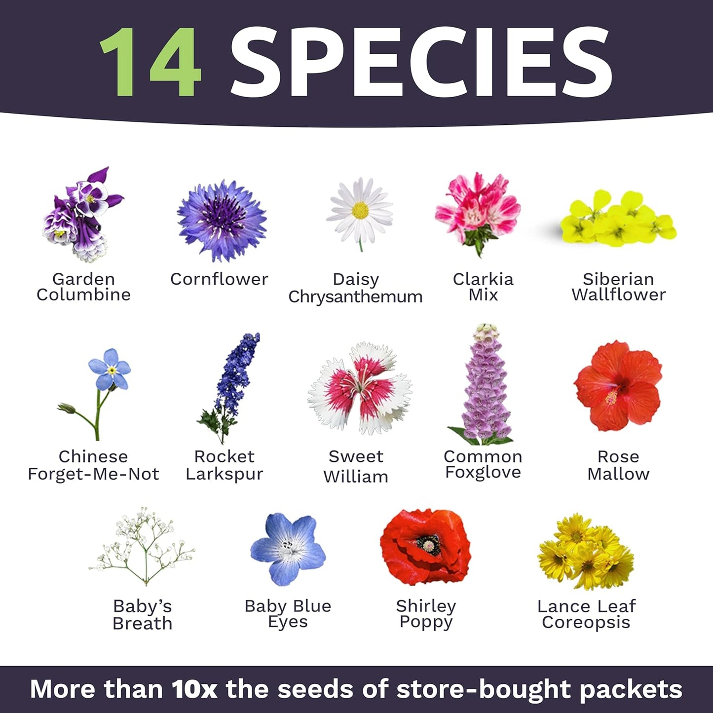 Wildflower Seeds Partial Shade Mix