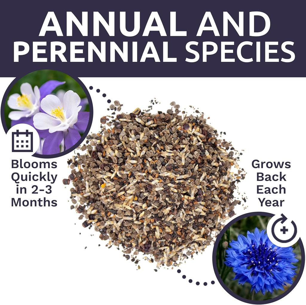 Wildflower Seeds Partial Shade Mix