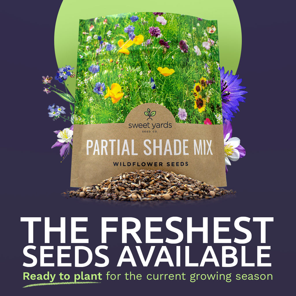 Partial Shade Wildflower Seed Mix