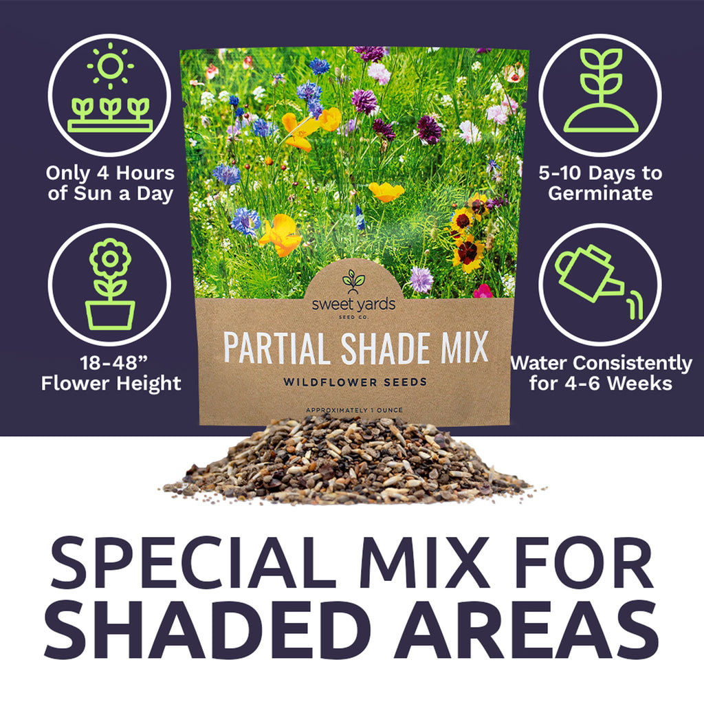 Partial Shade Wildflower Seed Mix