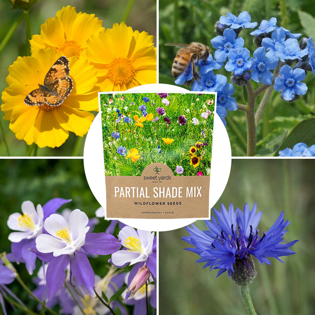 Partial Shade Wildflower Seed Mix