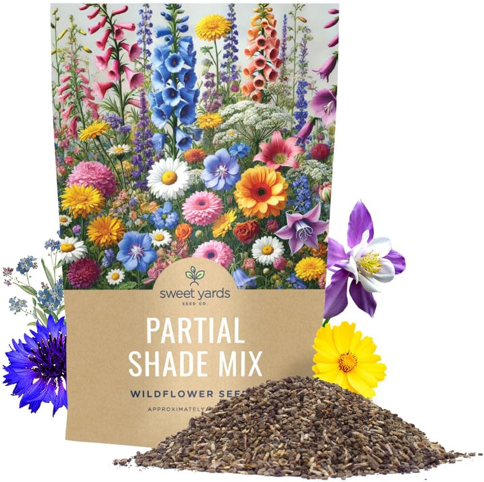 Wildflower Seeds Partial Shade Mix