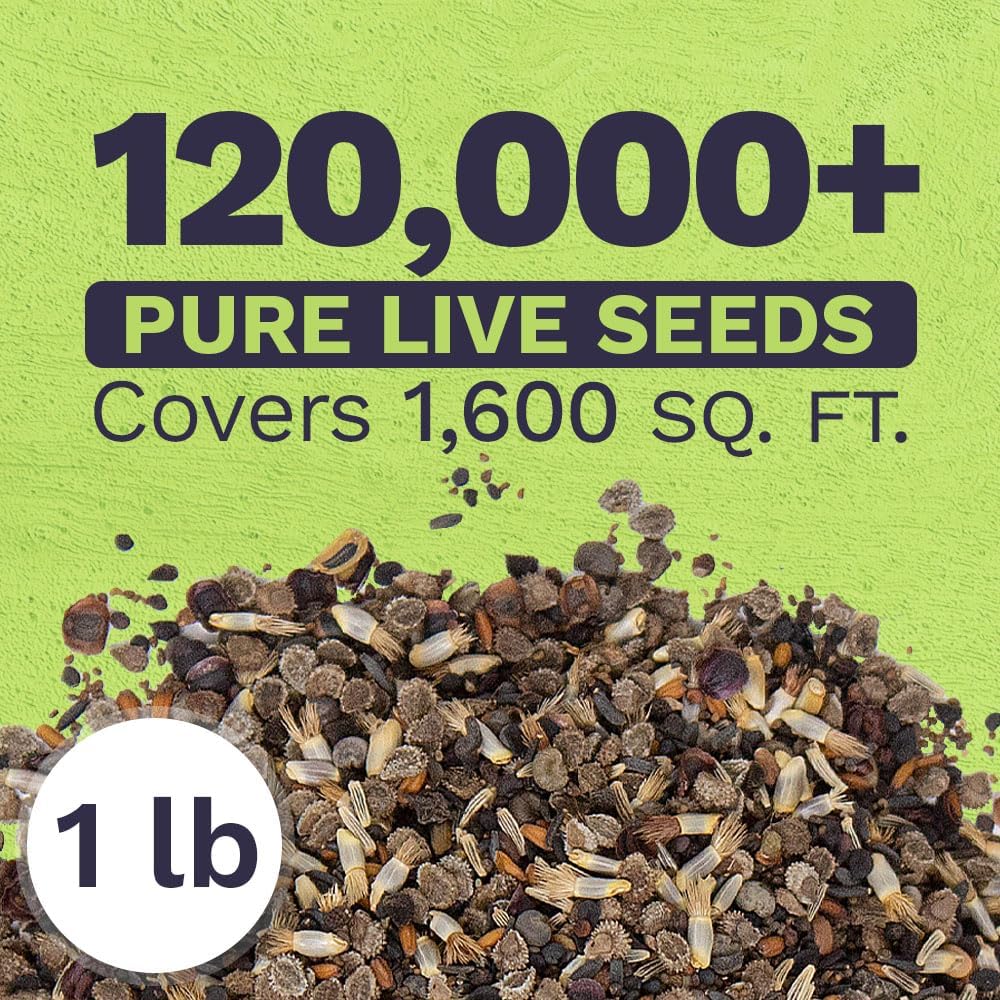 Wildflower Seeds Partial Shade Mix