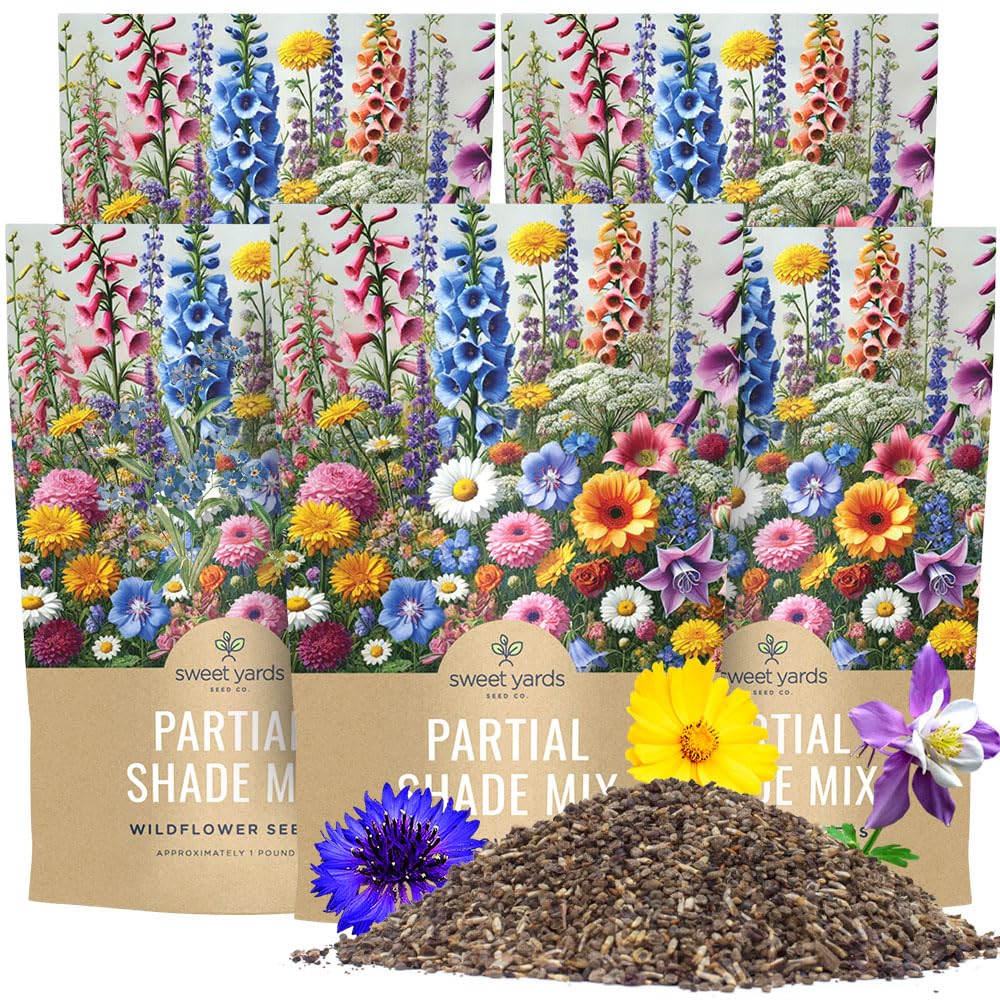 Wildflower Seeds Partial Shade Mix