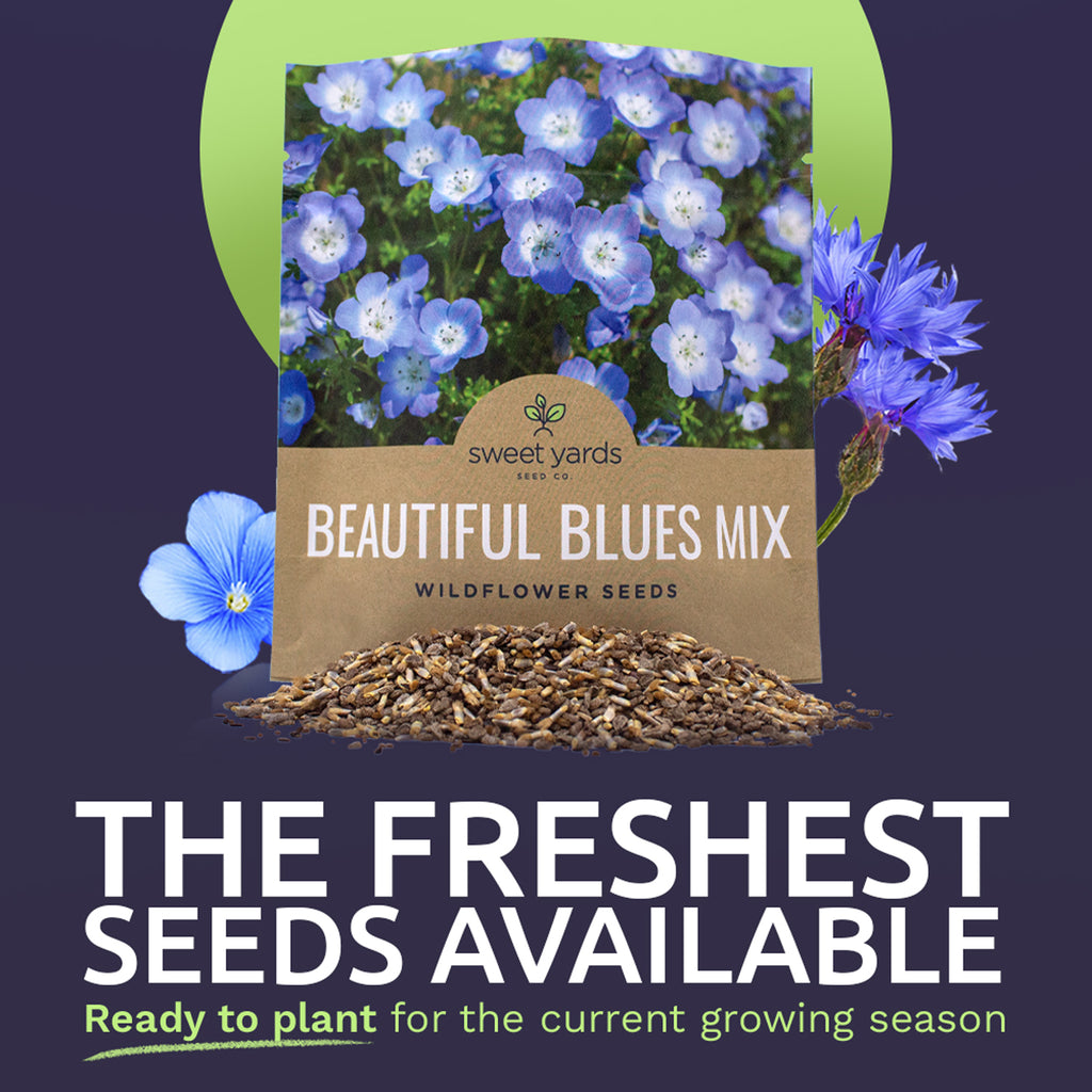 Beautiful Blues Wildflower Blend