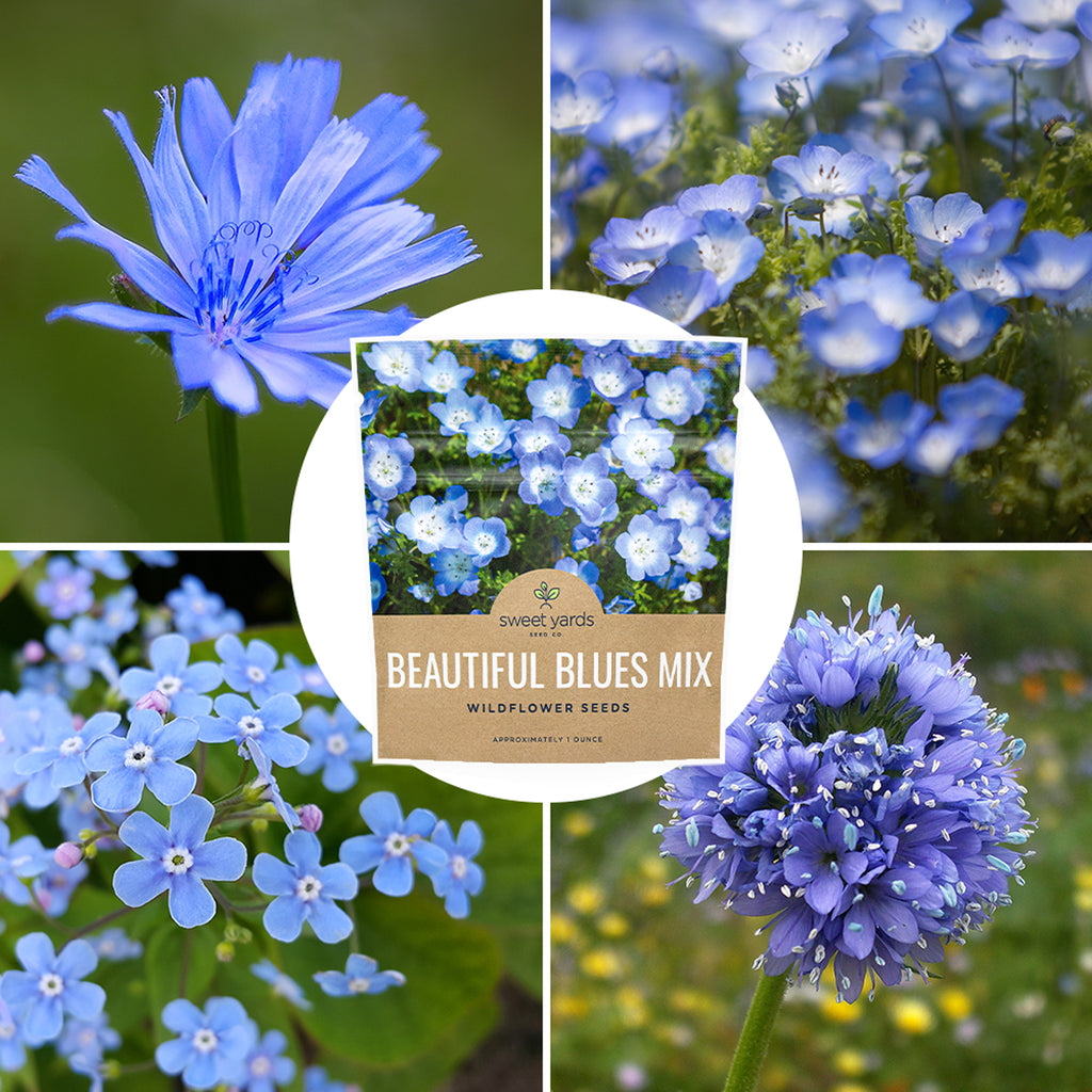 Beautiful Blues Wildflower Blend