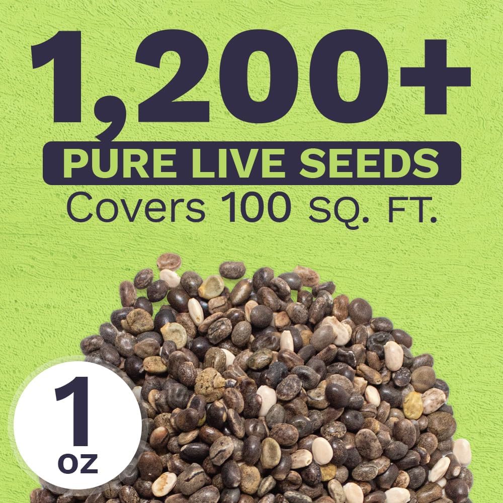 Lupine Lovers' Wildflower Blend