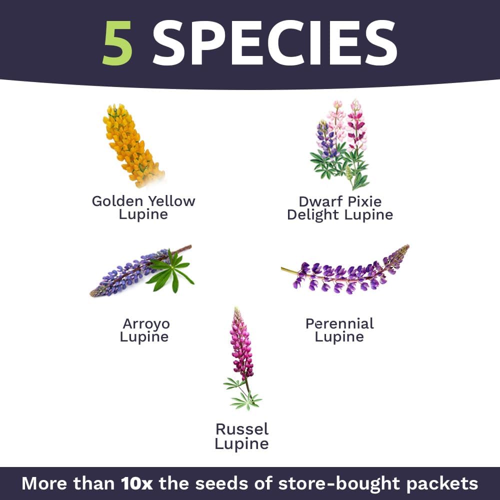Lupine Lovers' Wildflower Blend
