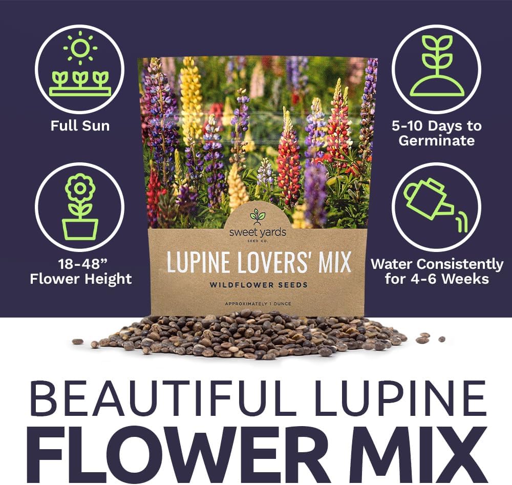 lupine wildflower seeds Lupine Lovers' Wildflower Blend – Sweet Yards