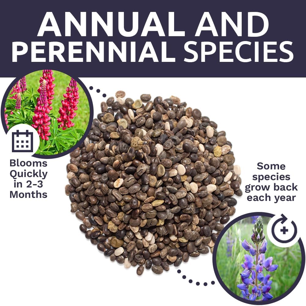 Lupine Lovers' Wildflower Blend