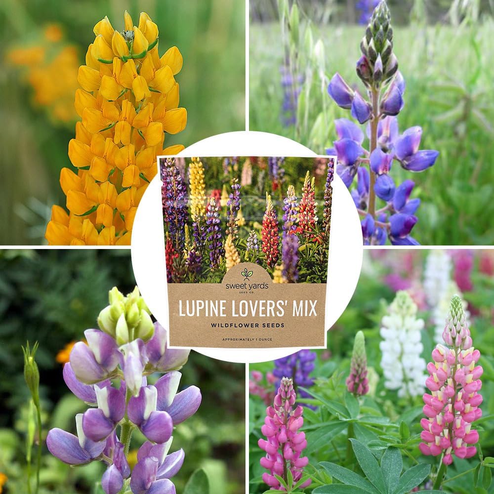 Lupine Lovers' Wildflower Blend