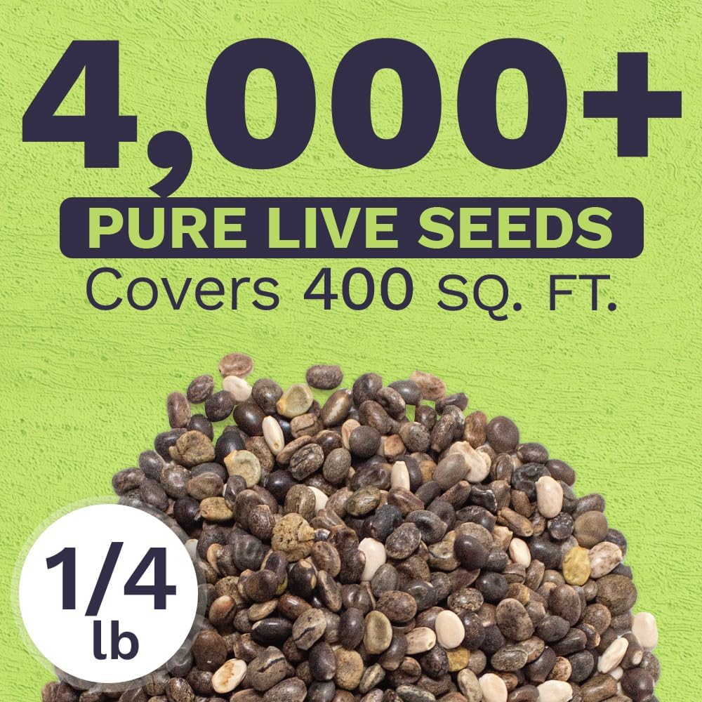 Lupine Lovers' Wildflower Blend