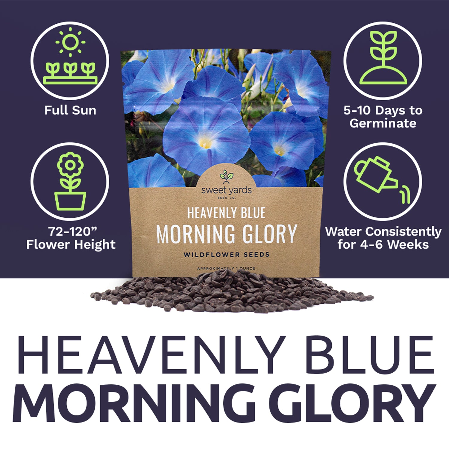 blue heavenly morning glory seeds Morning Glory Heavenly Blue – Sweet Yards