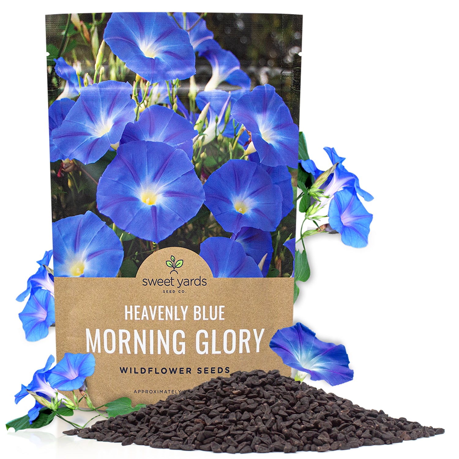 morning glory seeds from walmart Morning Glory Heavenly Blue – Sweet Yards