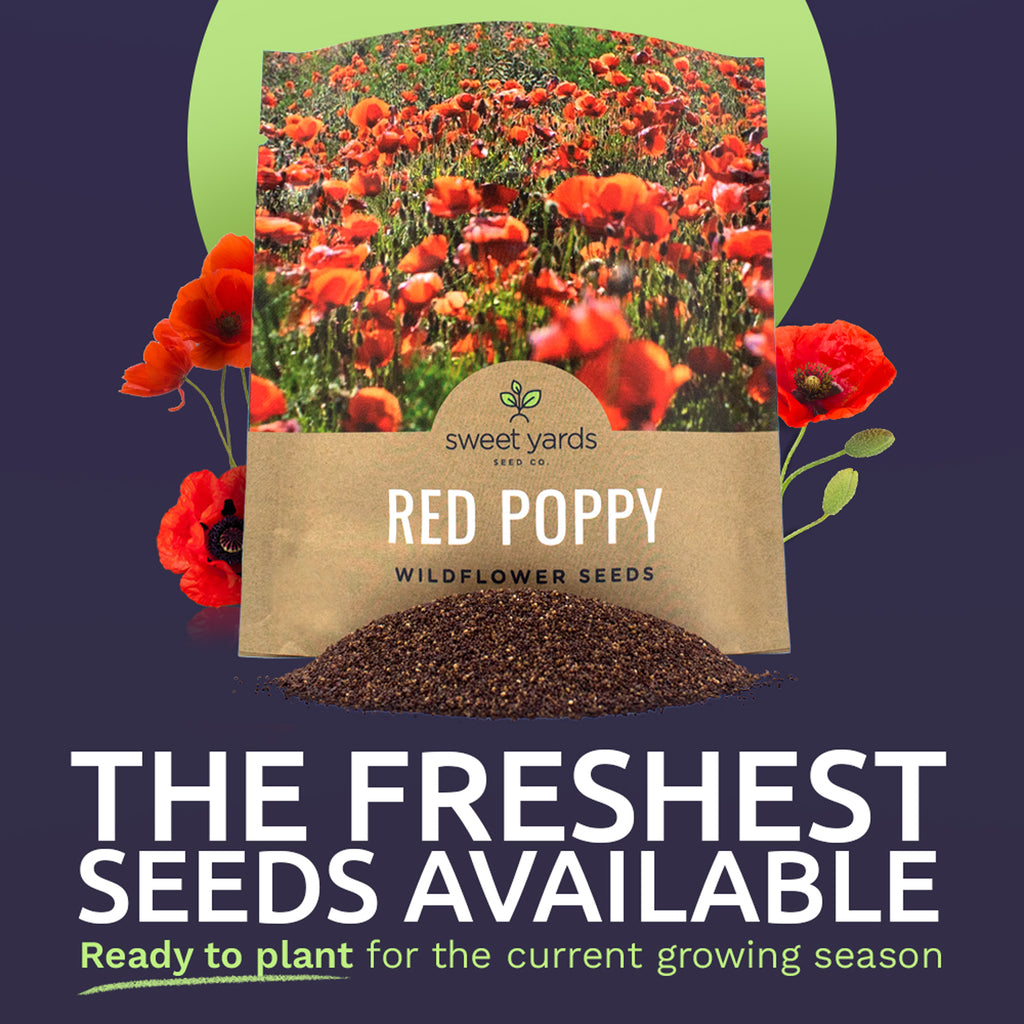 Red Corn Poppy Wildflower Seed Mix