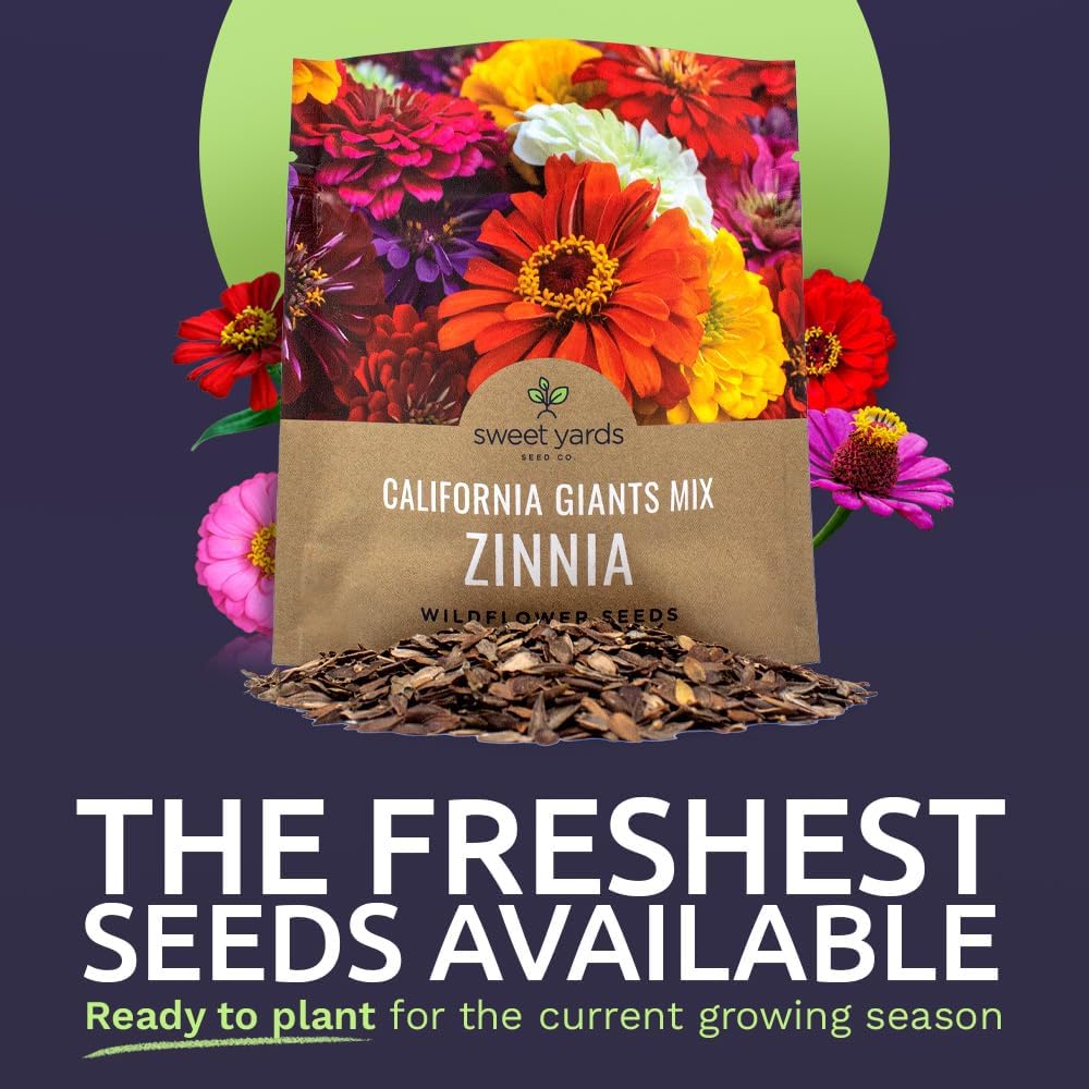 Zinnia California Giants Mix