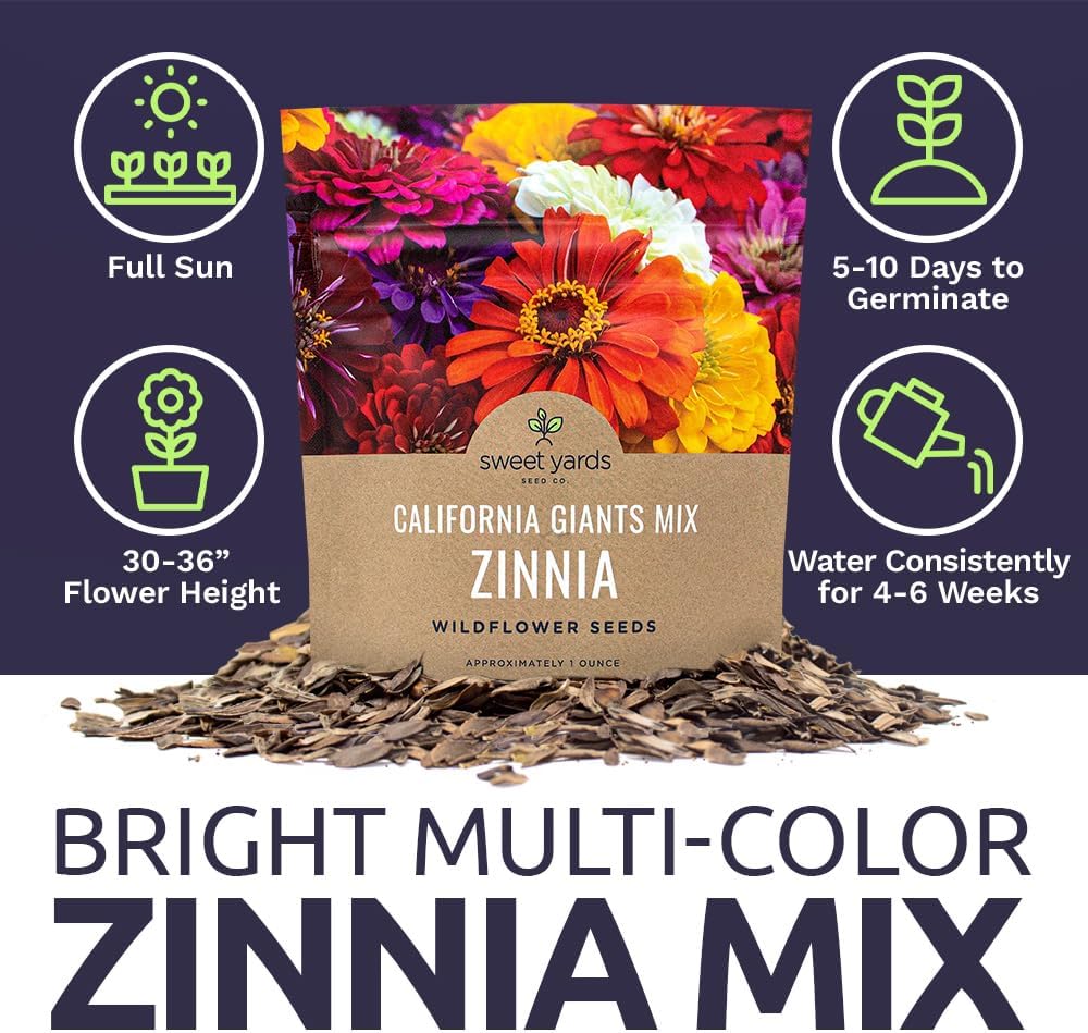 Zinnia California Giants Mix