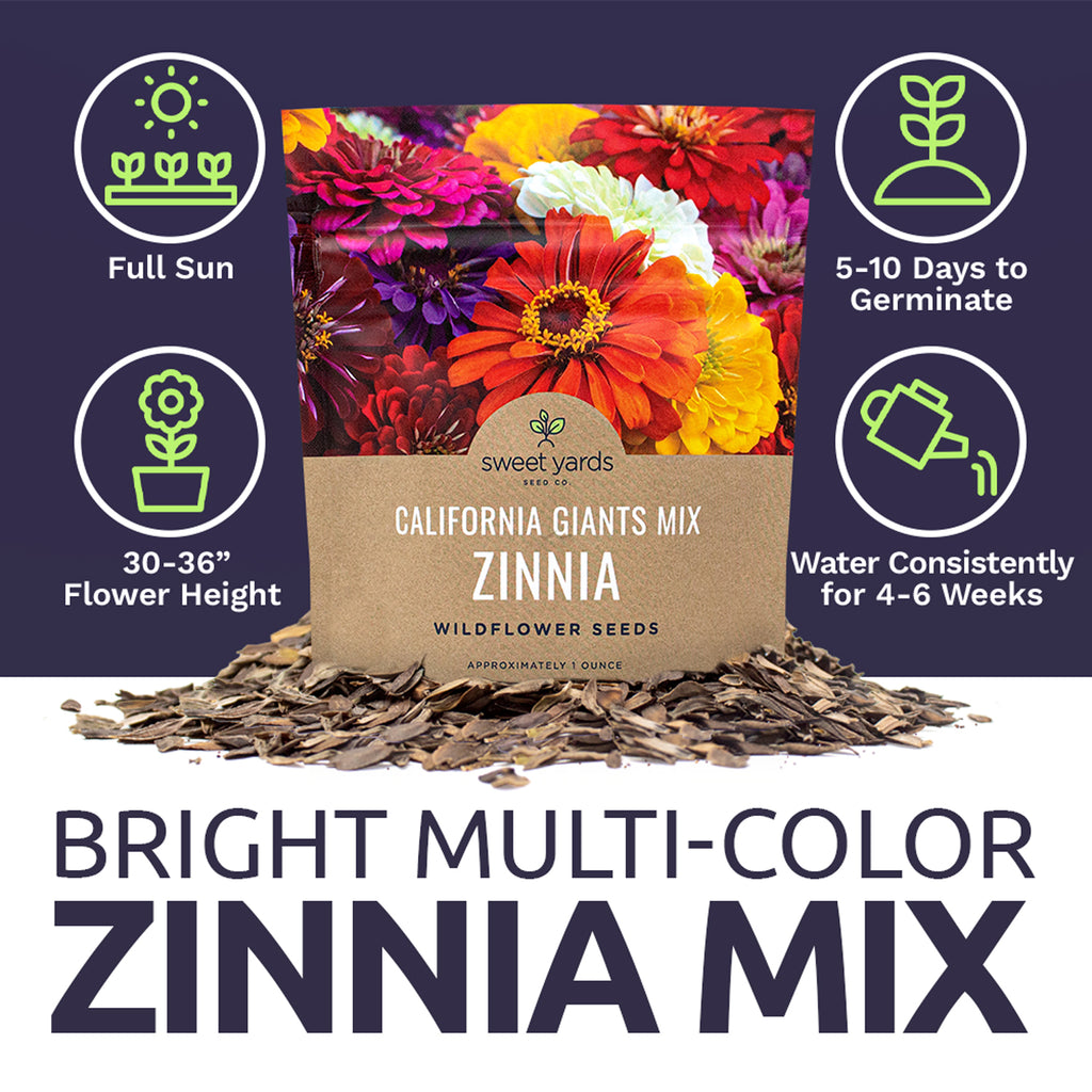 Zinnia California Giants Mix