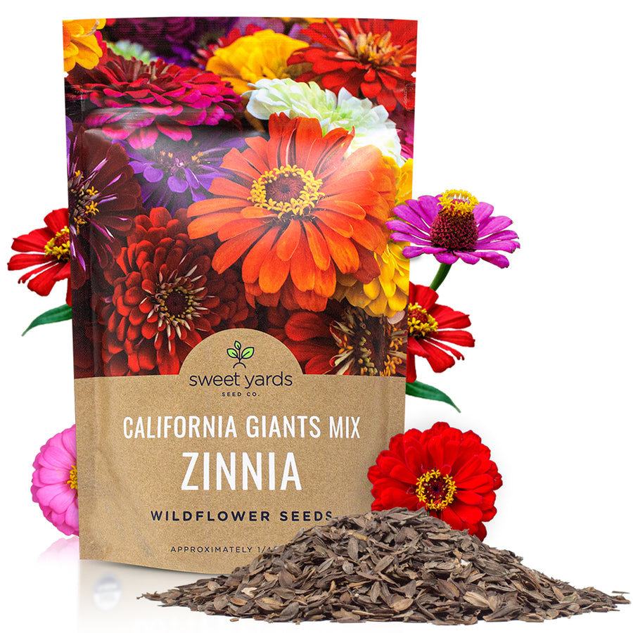 Zinnia California Giants Mix