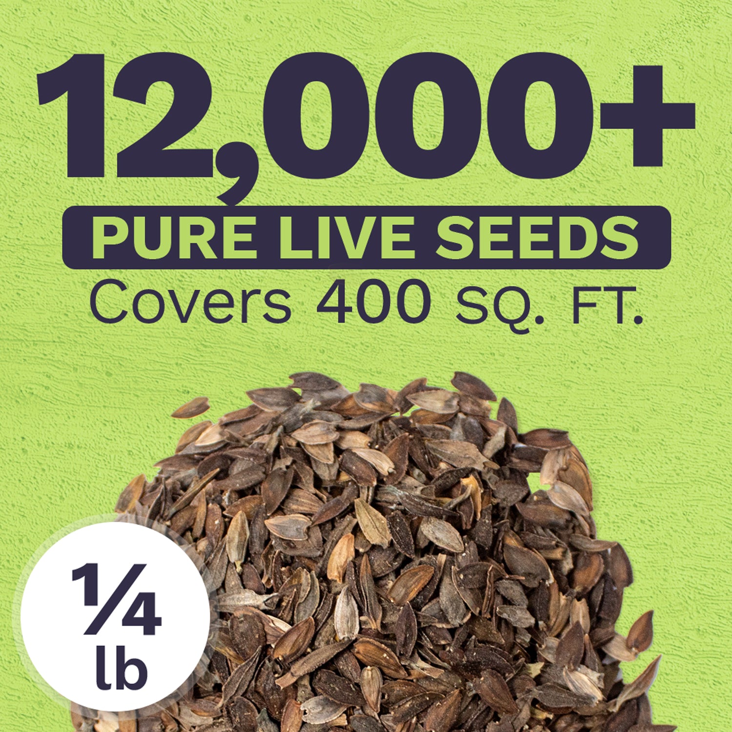1/4 lb