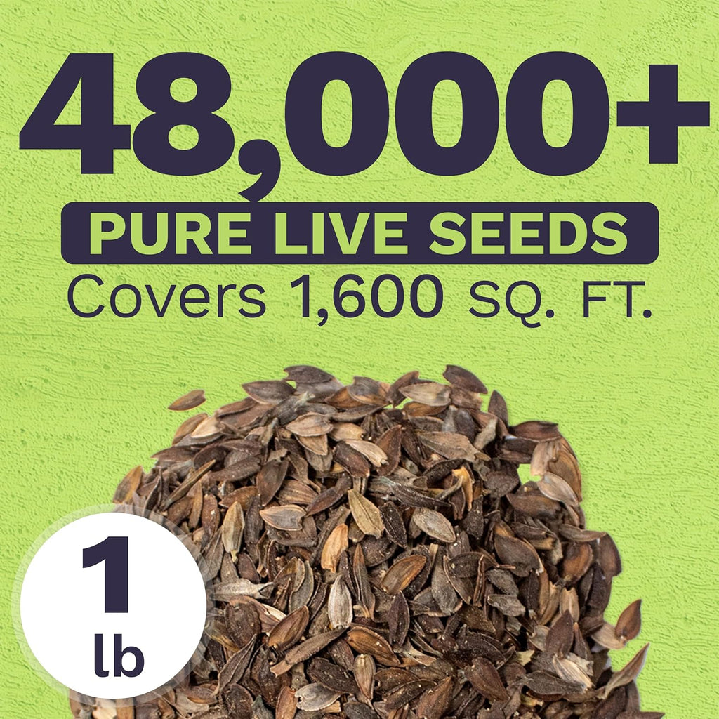 Zinnia California Giants Mix