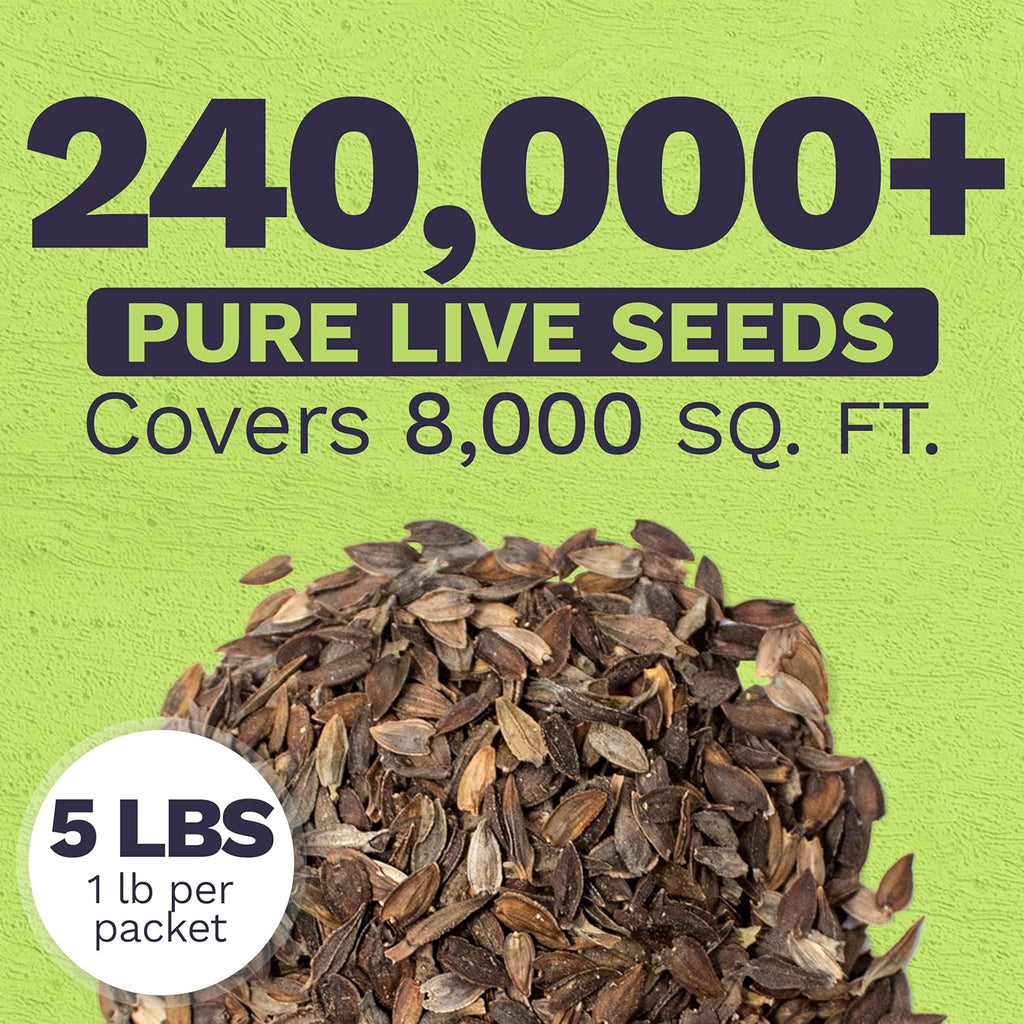 Zinnia California Giants Mix