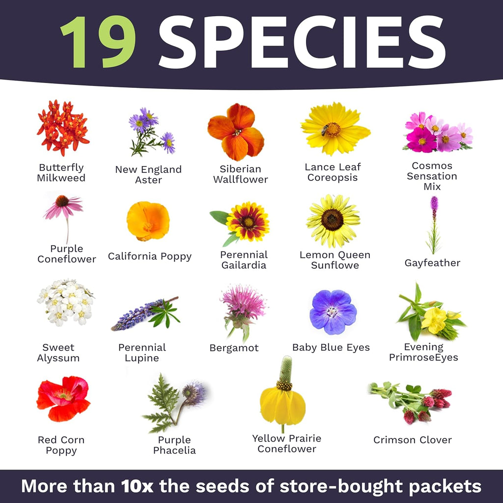 Bee Friendly Wildflower Blend