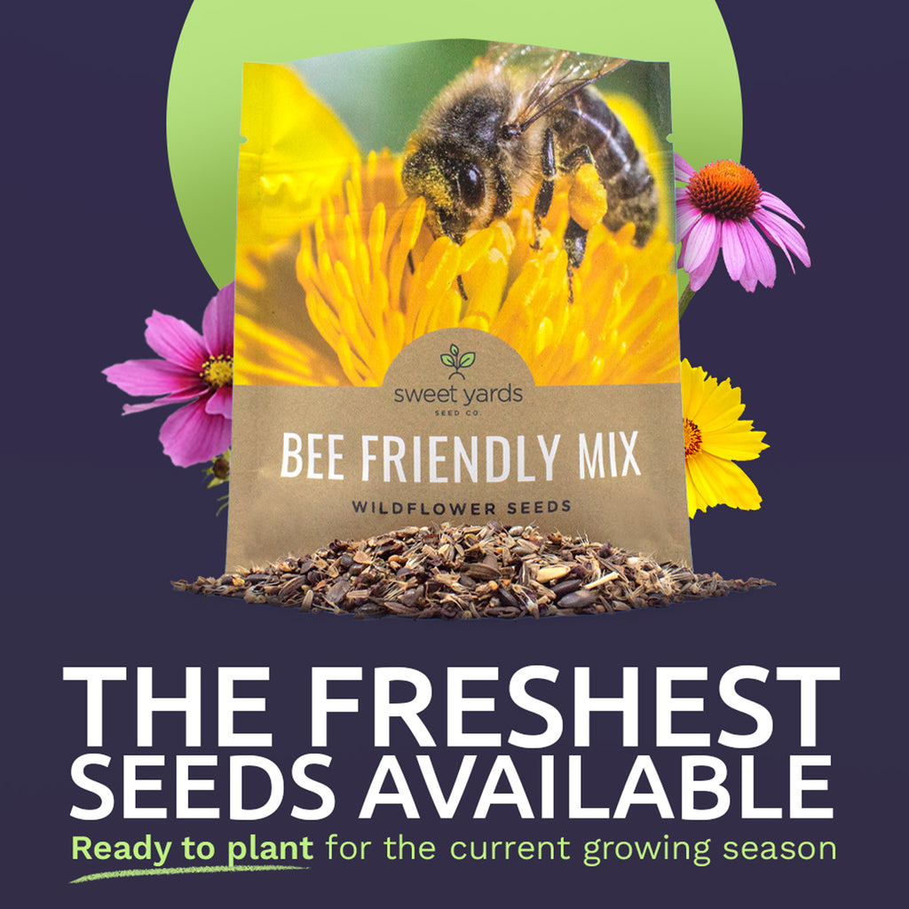 Bee Friendly Wildflower Blend