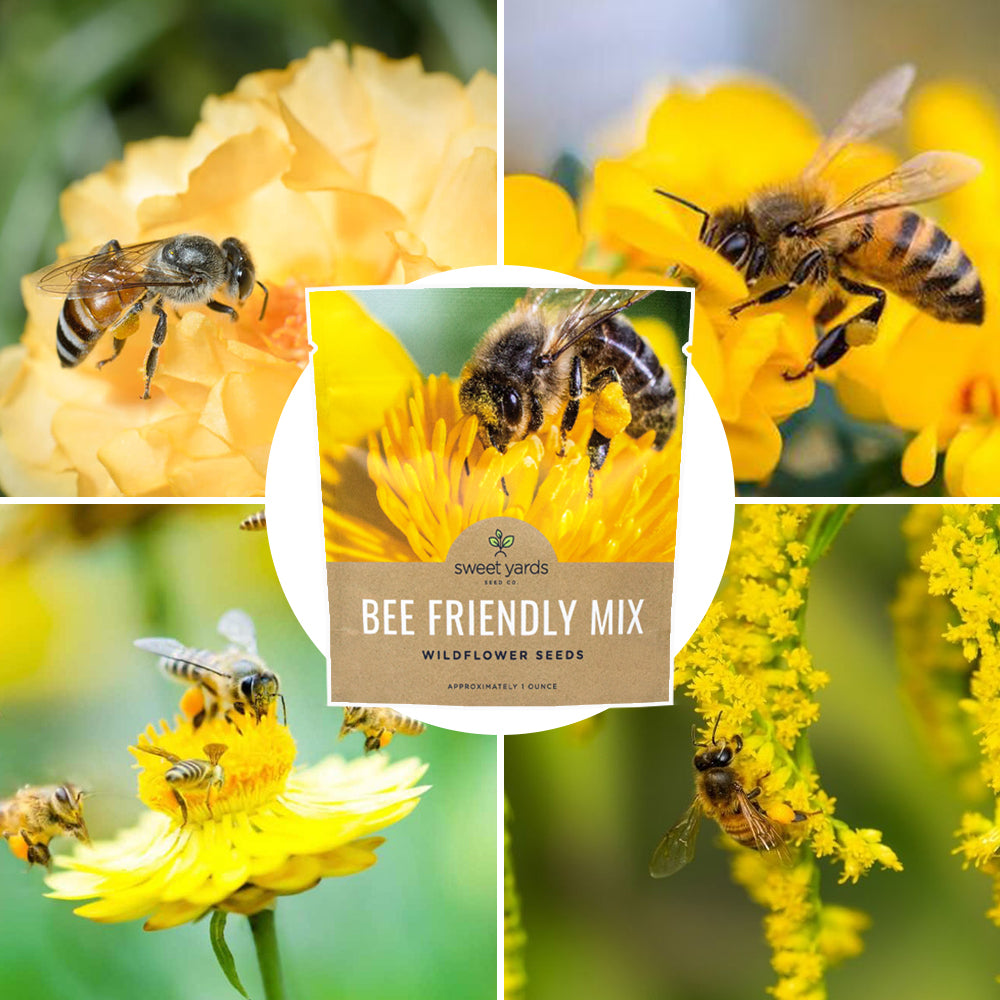 Bee Friendly Wildflower Blend