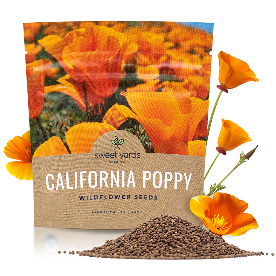 California Poppy Orange