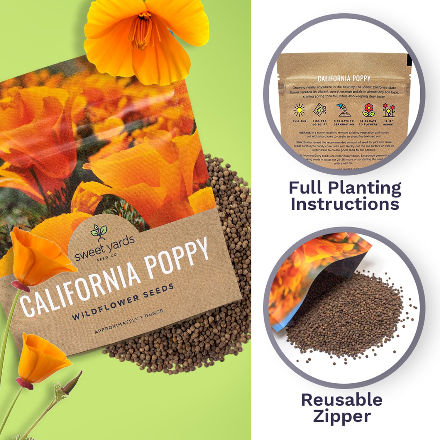 planting california poppy seeds California Poppy Seeds