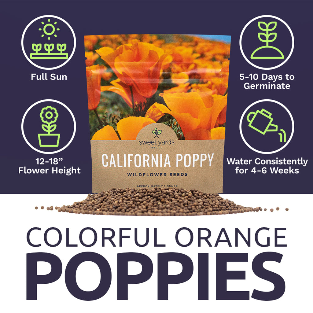 California Poppy Orange