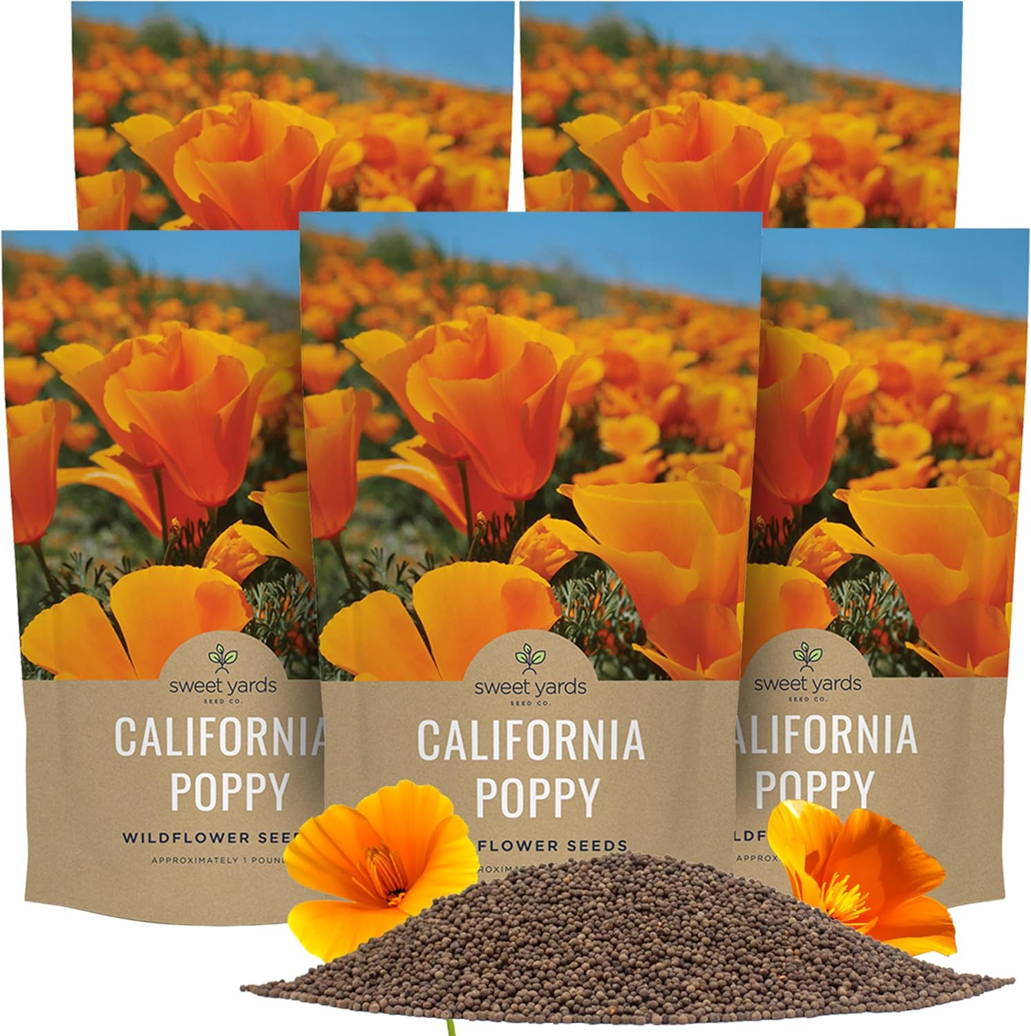 orange poppy flower seeds California Poppy Seeds