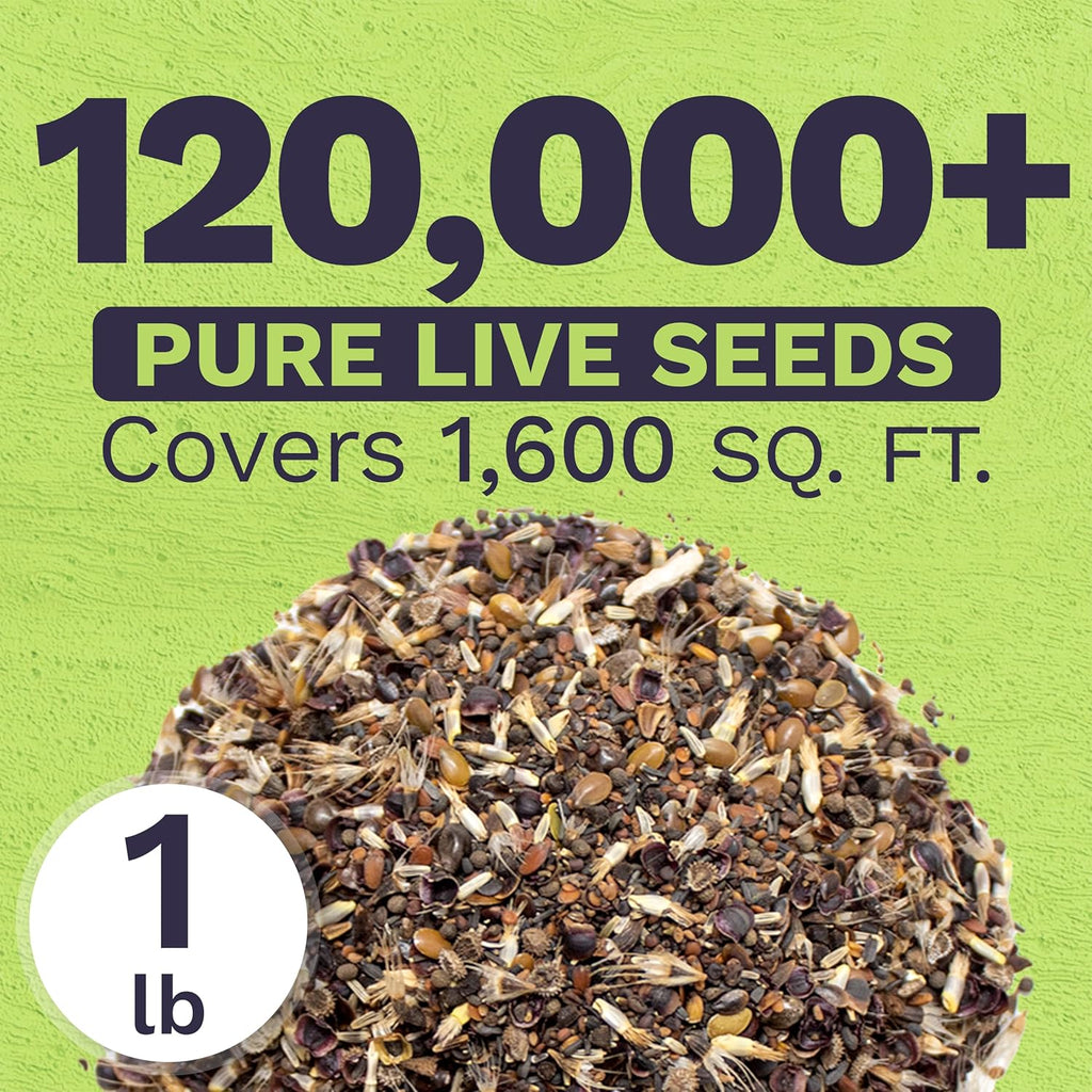 California Native Wildflower Mix