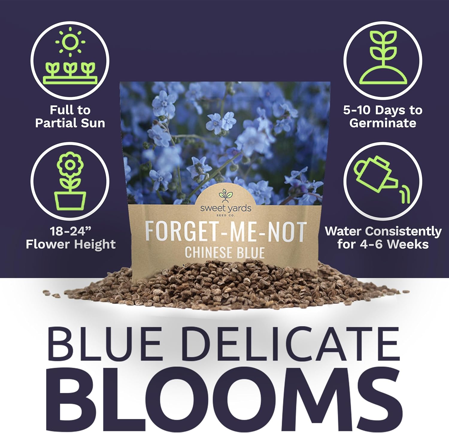 planting chinese forget-me-not seeds Chinese Forget Me Not – Sweet Yards