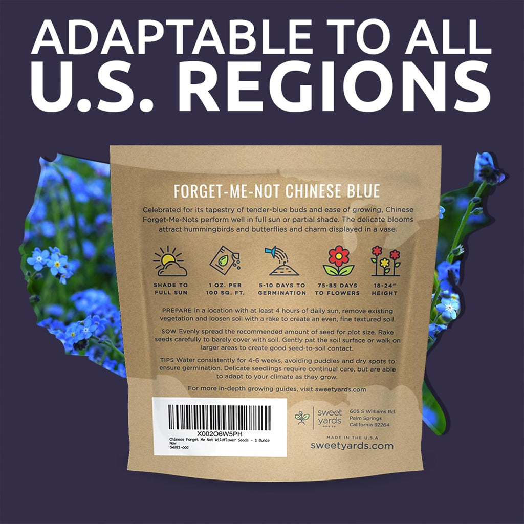 Chinese Forget Me Not