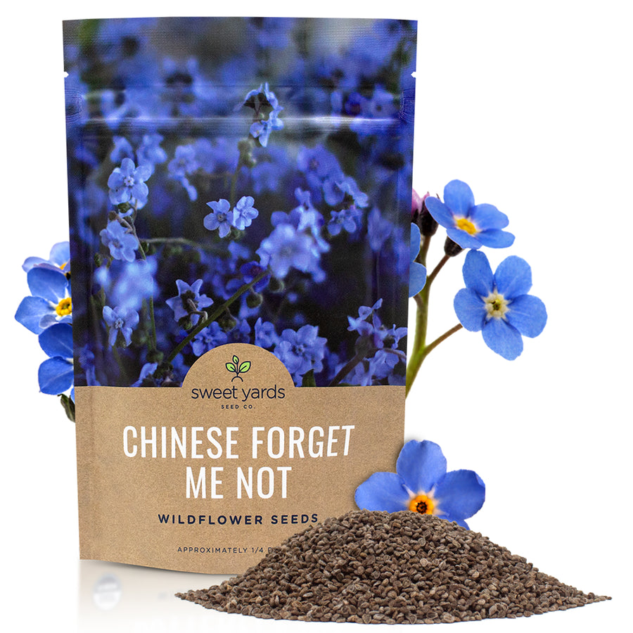 Chinese Forget Me Not