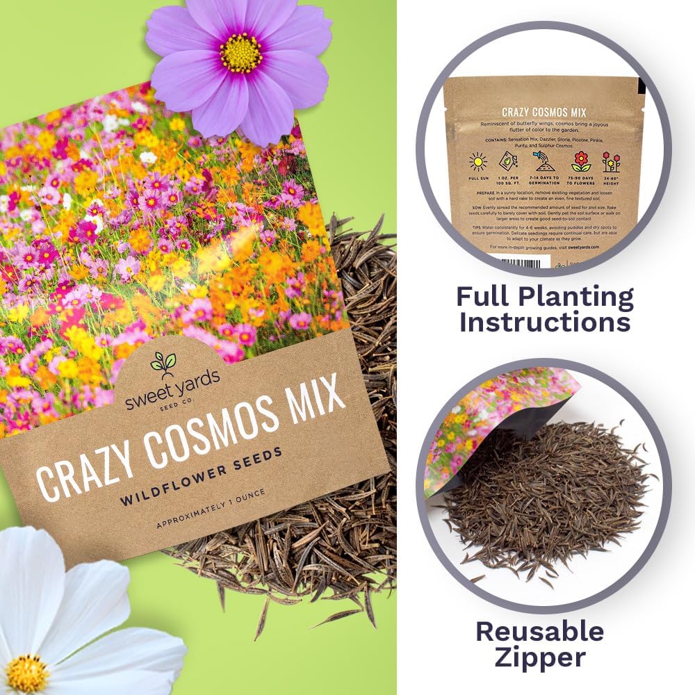 cosmos seed planting instructions Cosmos Mixed Colors Blend – Sweet Yards