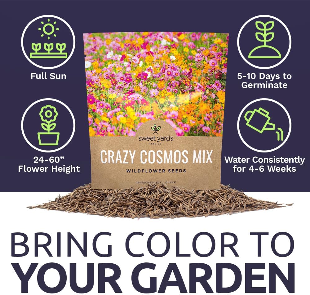 Cosmos Mixed Colors Blend
