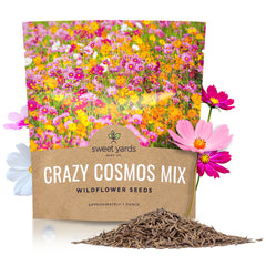 Cosmos Mixed Colors Blend – Sweet Yards