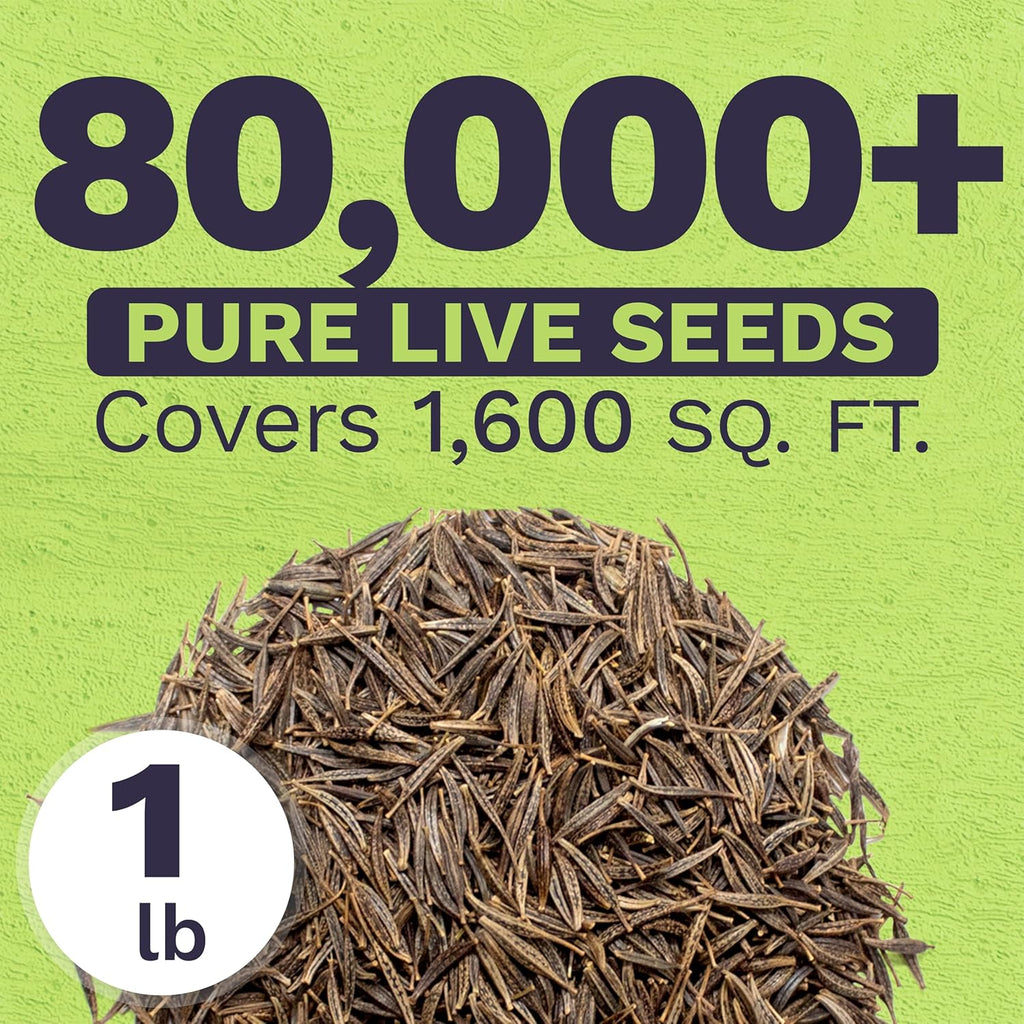 Cosmos Mixed Colors Blend