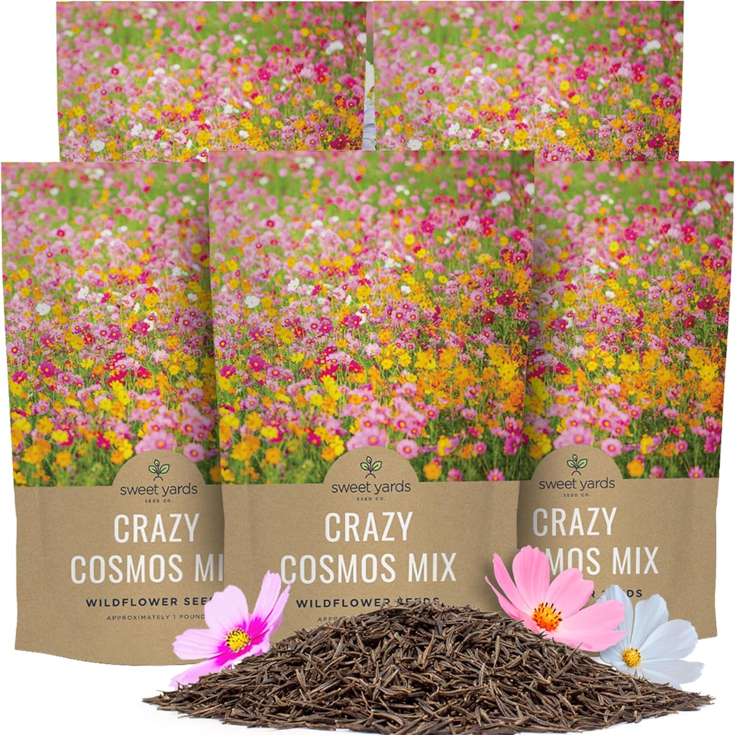 Cosmos Mixed Colors Blend