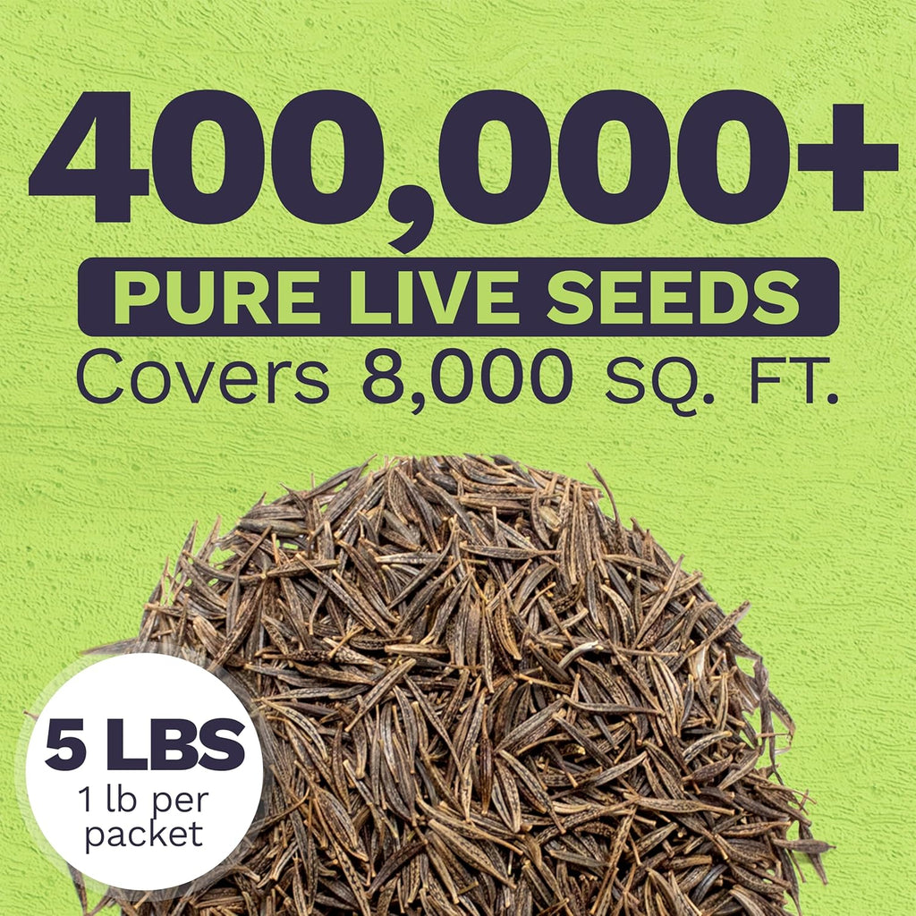 Cosmos Mixed Colors Blend