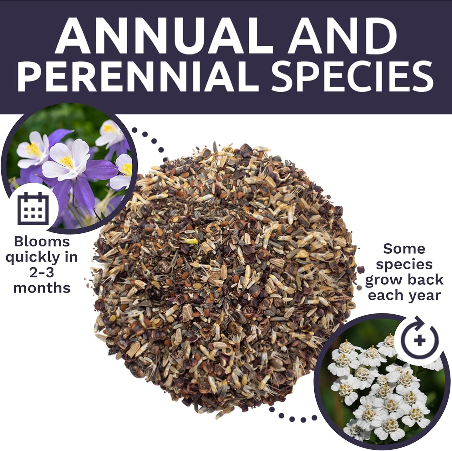 Deer Resistant Wildflower Blend