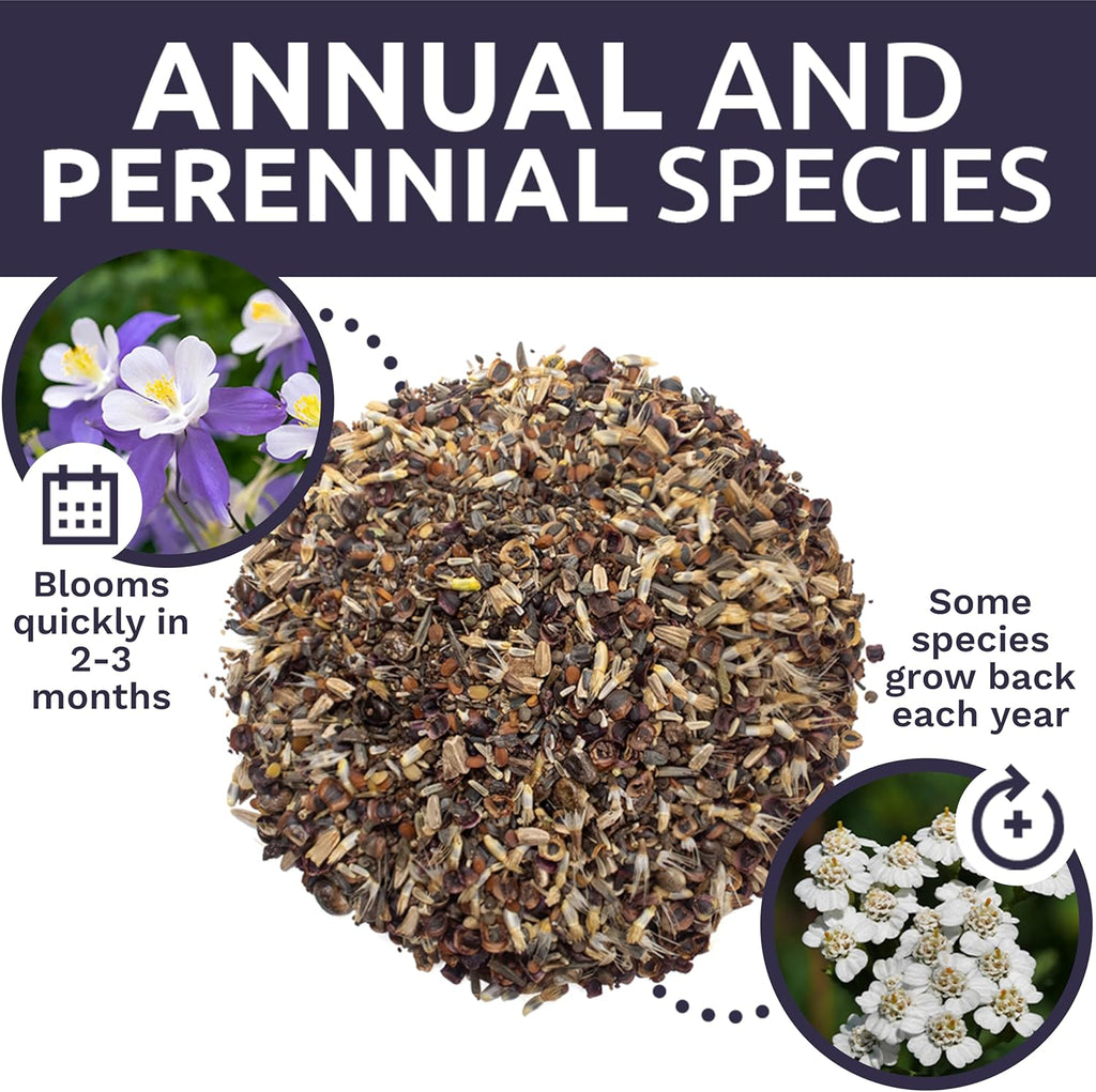 Deer Resistant Wildflower Blend
