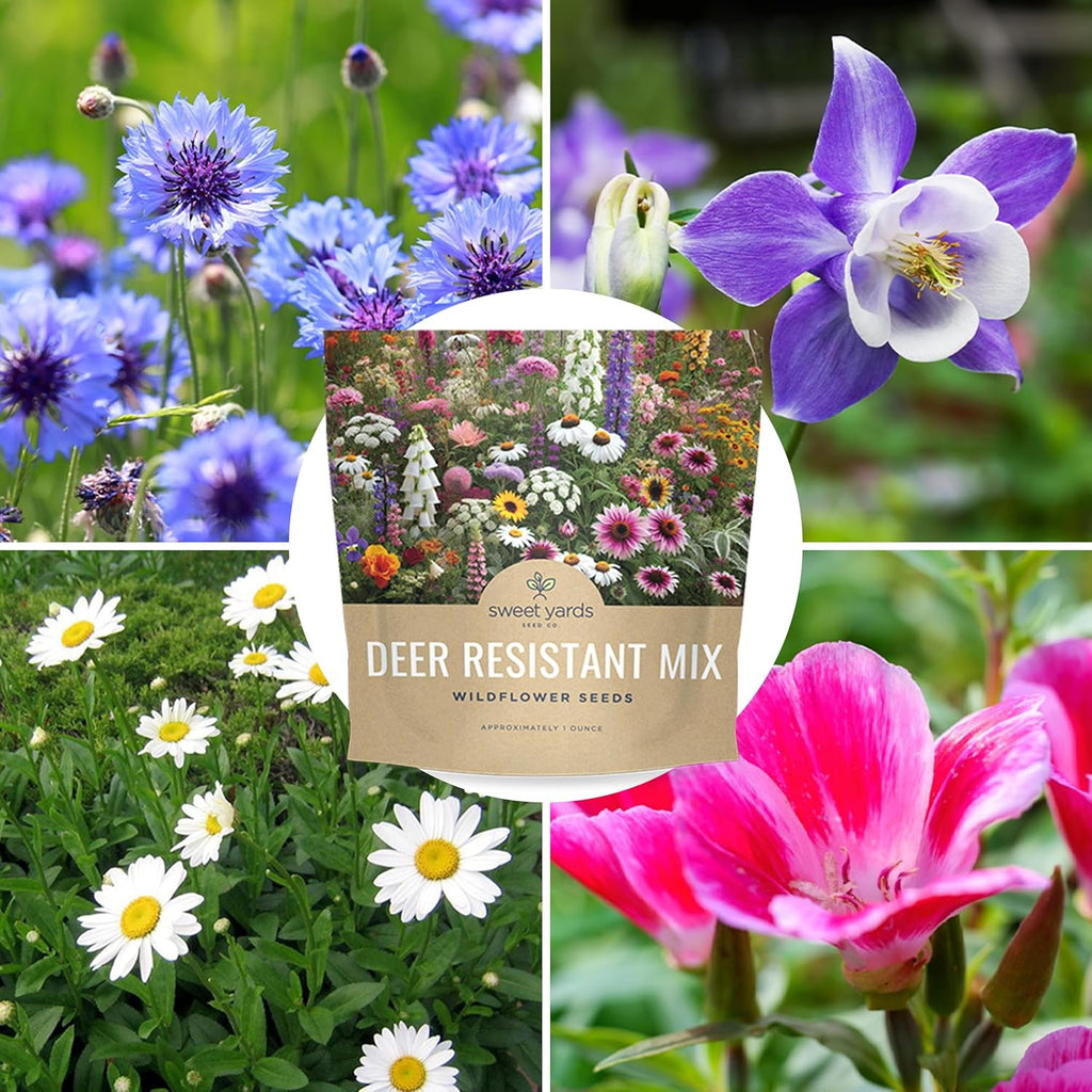Deer Resistant Wildflower Blend